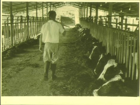 עמרם ברפת (3)